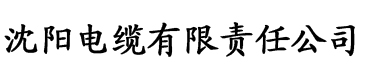 午夜级理论片电缆厂logo